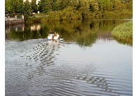 Pescando en el Ro Anllns