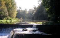 Fervenzas de Sa�mia