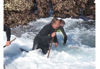 Percebeiros de Corme