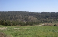 Vista da parroquia