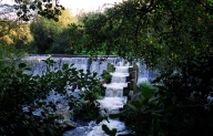 Fervenzas de Sa�mia