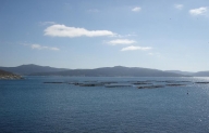 Bateas na ra de Corme