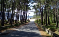 De cami�o � praia