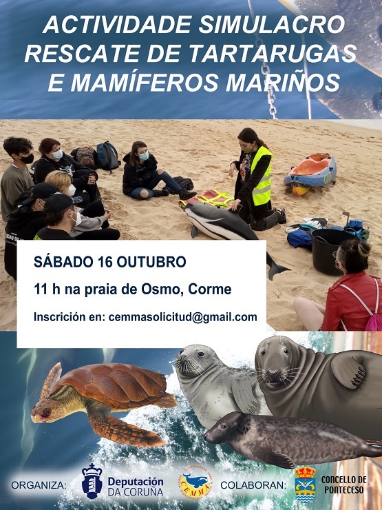 Actividade simulacro de rescate de tartarugas e mamíferos mariños