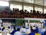 Campionato de judo